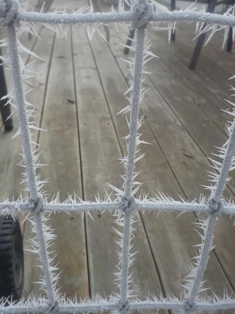 Cold Snap
